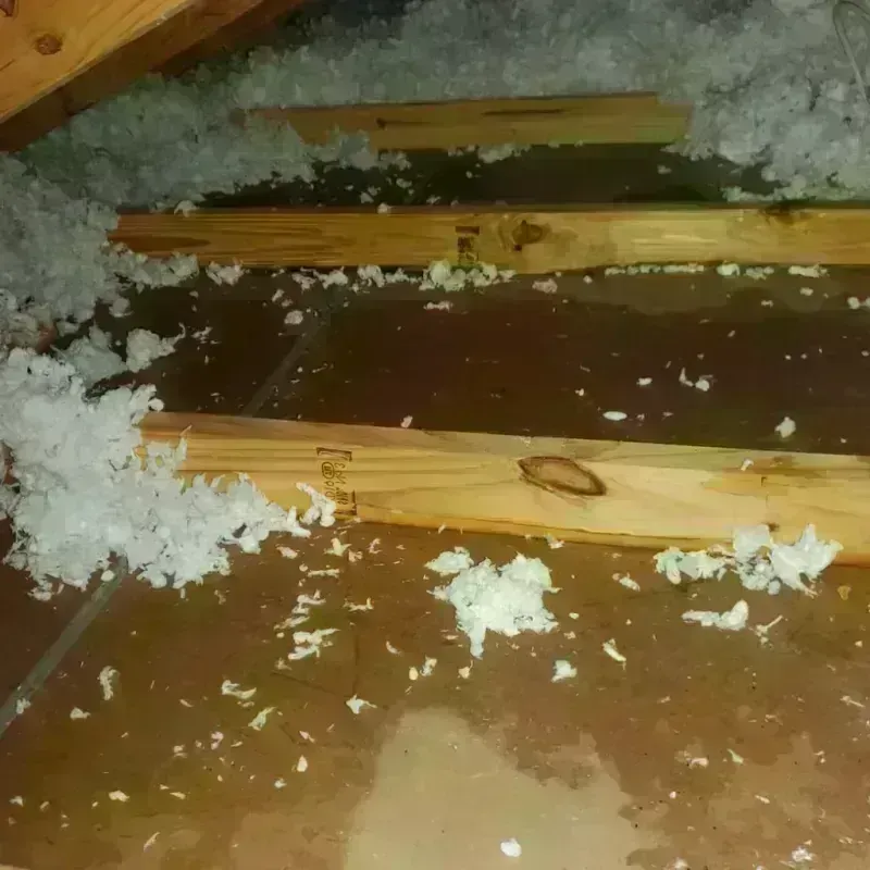 Attic Water Damage in York Beach, ME